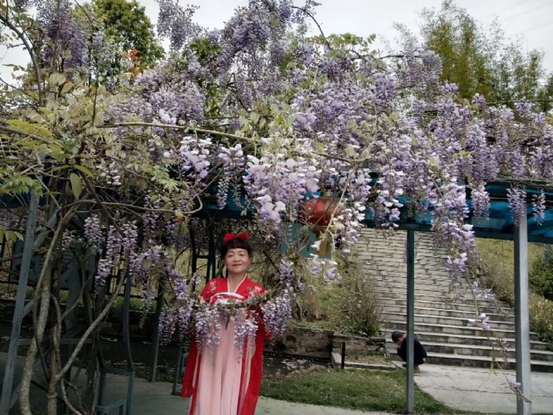 莉莉的第一张照片--长汀征婚网