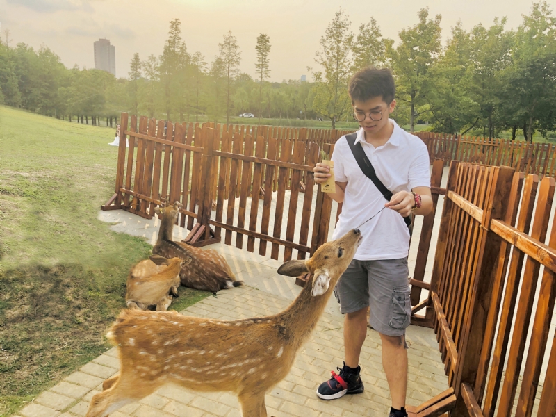 米兰的小铁匠的第一张照片--长汀征婚网