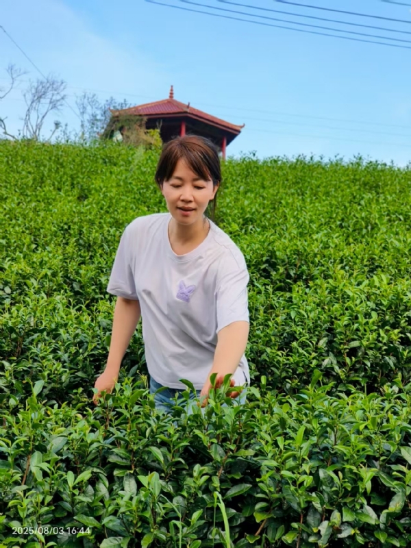 Q绮芳的第一张照片--长汀征婚网
